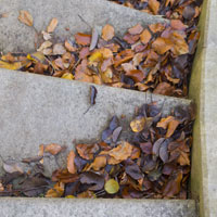 Philadelphia slip and fall lawyers assist victims injured in accidents due to wet leaves.